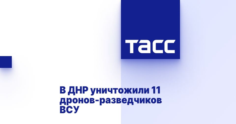    11 - 