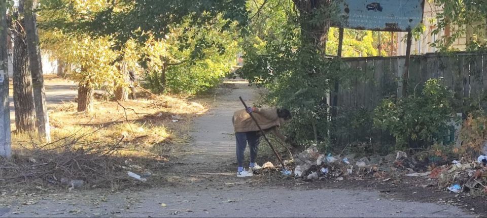  :        &quot; &quot;   ,             ...