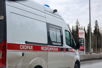 Пушилин: В селе Лозовое при детонации взрывоопасного предмета погиб человек