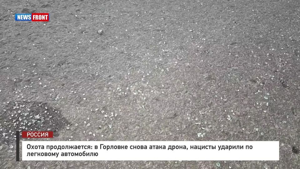  :      :  ,      