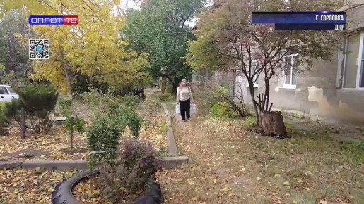    :     