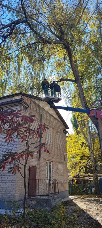 Сергей Скиданов: На встрече с сотрудниками ГБУ ДНР «Городской специализированный дом ребёнка города Донецка» главный врач, Людмила Николаевна, выразила тревогу по поводу деревьев, чьи ветви нависали над крышей здания