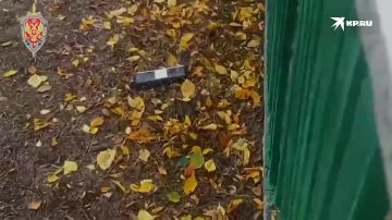 Система РЭБ «Купол Донбасса» за неделю перехватила 622 дрона ВСУ в ДНР