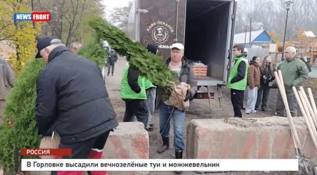 В Горловке высадили вечнозеленые туи и можжевельник – репортаж News Front