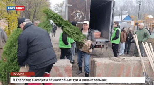 В Горловке высадили вечнозеленые туи и можжевельник – репортаж News Front