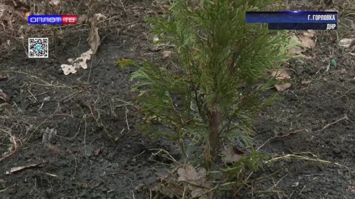 Акция «Аллея единства» подарила детскому центру зеленую зону