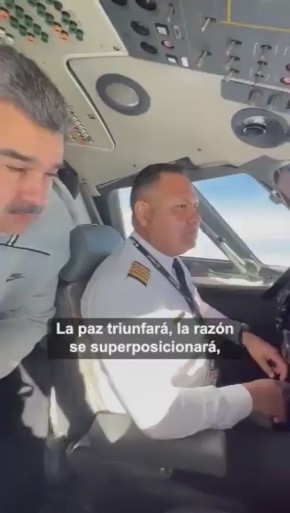  :         , ,    ,     ,      