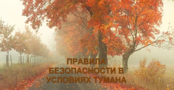 Роман Конев: Туман – невидимый враг на дороге