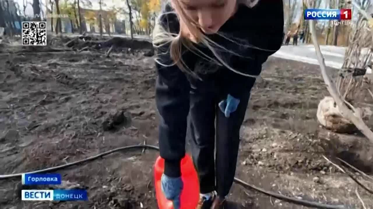 В Горловке Донецкой Народной Республики в рамках федерального проекта «Парки России» провели масштабную акцию по озеленению парка культуры и отдыха имени Максима Горького