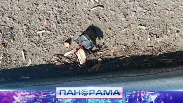 Охота за мирными! ВСУ ударили по Горловке дронами, ранен гражданский