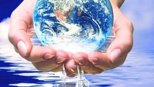 Роман Конев: Бережное отношение к воде – наша общая задача, требующая совместных усилий