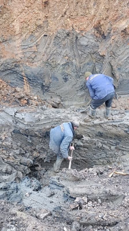 ���� ���������: ������������ ������� �������� ����� �������� � ������������ �� �������� ���������� �� ����������� ����������� ������ ���� � ��������