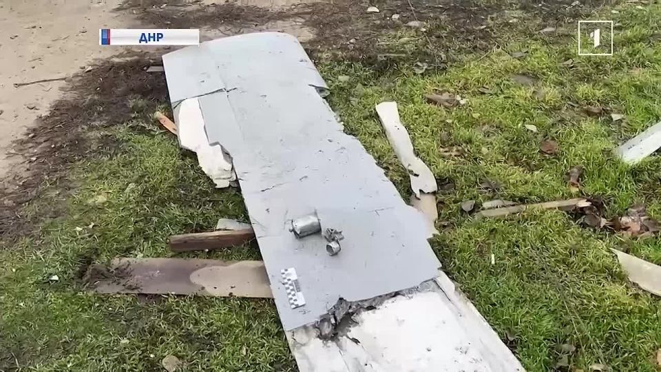 ����� 20 ���� ��� �� ������: �� ������ �� ��� �� ������ �����������