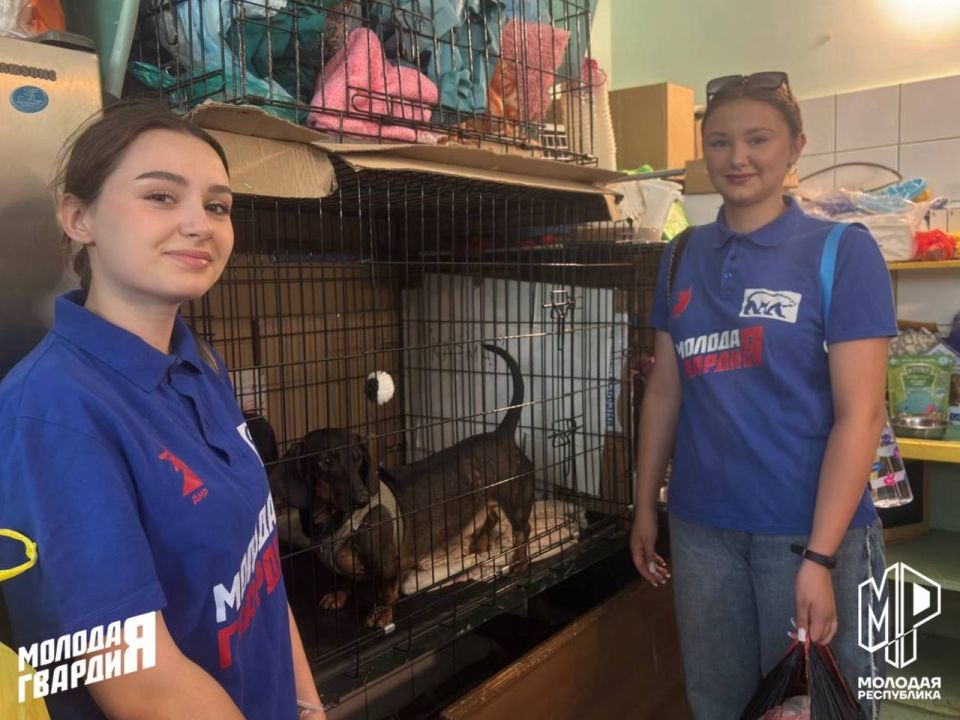 ���� ���������: � ����������-��������� ������ �������� ������ ����������� ���������� ���������� ��������� � 62 ������ ������� �������