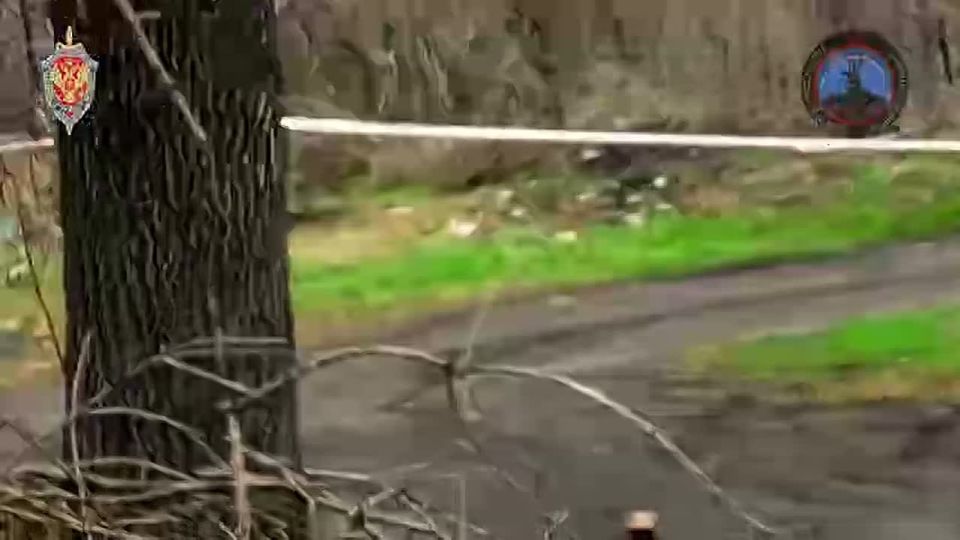 �� ������ ����������� 349 ��������� ����