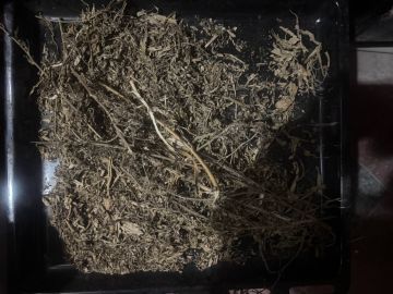 Полицейские выявили факт незаконного хранения наркотиков