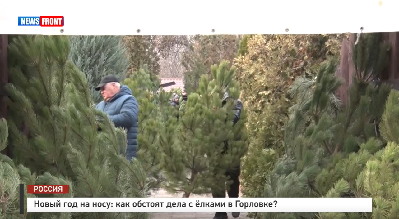 Новый год на носу: как обстоят дела с елками в Горловке? – репортаж News Front
