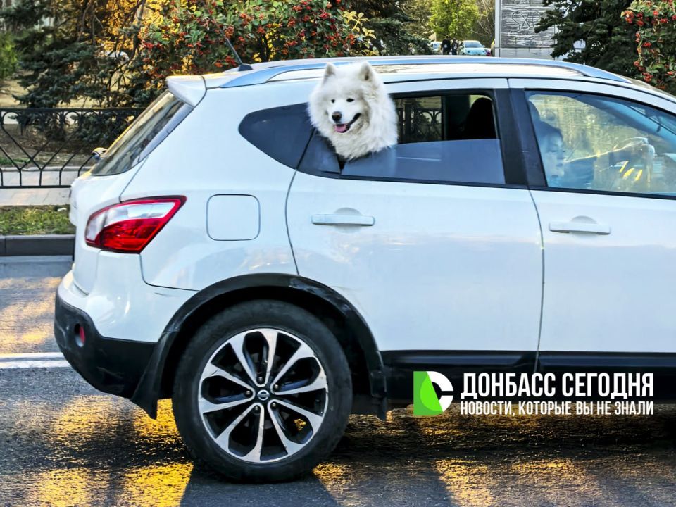 В Горловке возбуждено дело о крупном мошенничестве с автомобилем