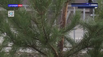 � �������� ������ �������� ������� ������