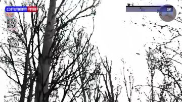 ���������� ������� ���������� ��������� ������� ��������������� ������� �� ������ ������� � �������������� ����������