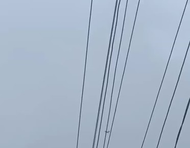 ������� ������: ���� ��� ���������