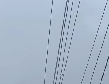 ������� ������: ���� ��� ���������