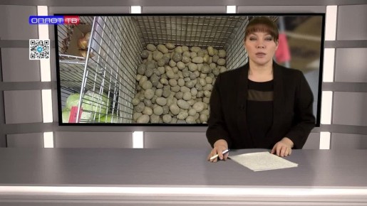 ��� ��������� �������� � ��������?