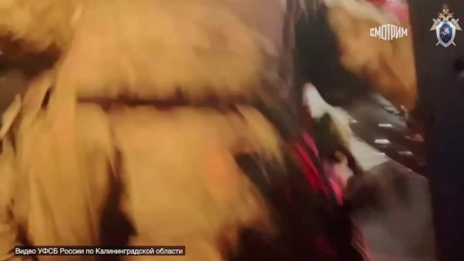 ��� ��������� ����� ������� ��������������� �������, ���������� ������ � ���������� ���