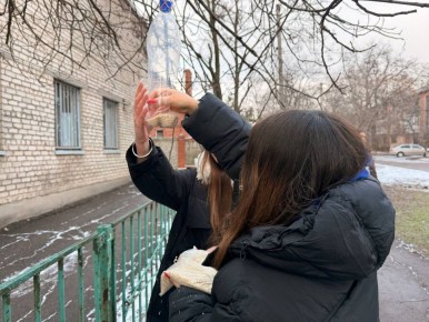 Даём крылатым шанс на сытую зиму