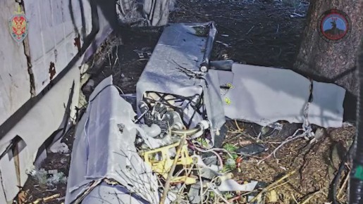 �������� ��� ������ �������� �� ������ ������������� 252 ���������������� ����� �� ������� ����������