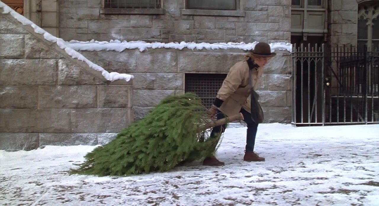 Роман Конев: Минприроды ДНР приглашает присоединиться к Всероссийской акции «Ёлочный круговорот»