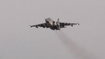 #�������������������. ����������� �� ����� �����������������.�� � �� �������� 117