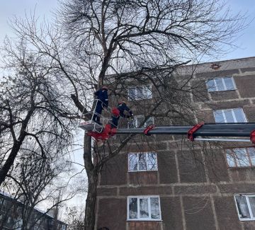 ��� �������� ��������� ��������� ��� ����������� ������ �� ���������� ��������� ����