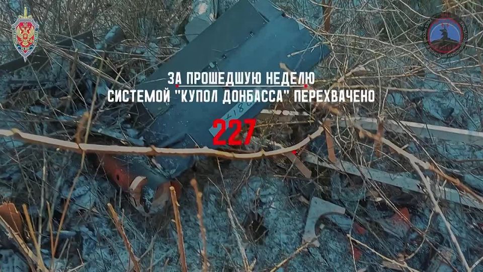 Купол Донбасса» предотвратил 237 атак украинских БПЛА