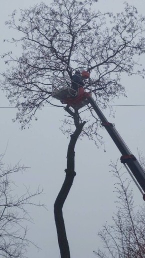 МУП «Простор» ежедневно выполняет все необходимые работы по содержанию городских улиц