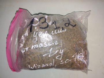 ������ ������������ ������ ��������� � ���������� ��������