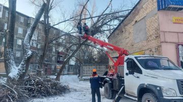 ������� �������� ���������� �������� ������������ �������� � ������ ������