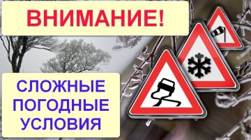 ����� �����: ��� ���: ������� �������� �������