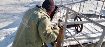 ���� ���������: ������������� �������� ������������ ��� ��� ����� �������� � ��������� �� �������� ������� ������ �� ����������� ������������� ������ ���� � ��������