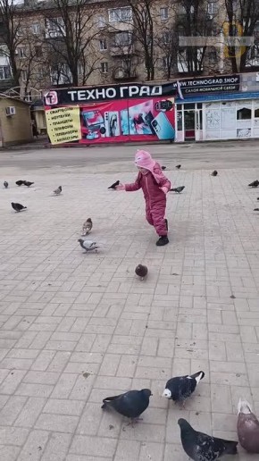 “Давайте, клевайте”: горловчанка Аделина рассказала, почему всегда подкармливает голубей