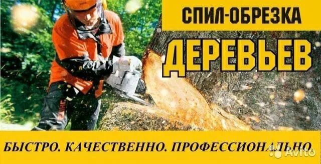 ����� �����: ����������, ��������� � ������������!