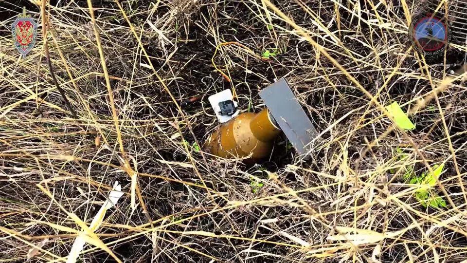 ����� �������: �������� ��� ������ �������� �� ������ ������������� 171 ���������������� ����� �� ������� ����������