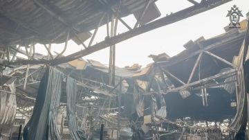 �� �������� ����� ������������� �� ������ ������������� ��������� ������������ ����������� ������������ �������, ����������� � ��������� ������� ��������� ���