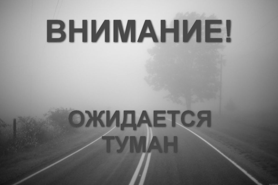 Роман Конев: МЧС ДНР: ожидается туман. В среду, 11 марта 2026 года, в Донецкой Народной Республике ожидается туман