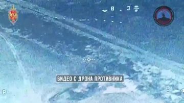 ��������� ������� ����� � ���������� ����: ������ �������� ������ 256 ���� ��� �� ������