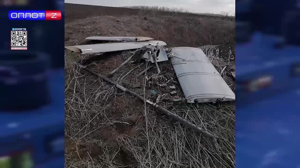 ������������ ������� ������ ���������� ����������� ��������� ������������ ����������� ������������ �������