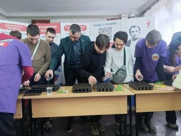 ���� ���������: � �������� ������� ����������� ������ ������ ������� ������� �������� ���������