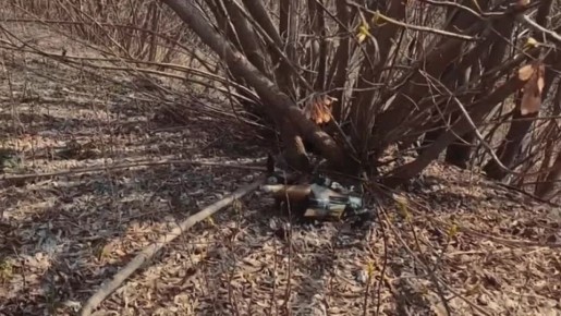 ���������� ���������� �������� ��������� �� ���� � ��������