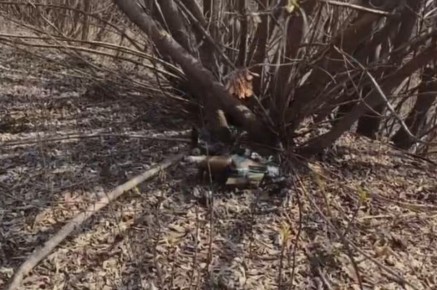 ������ �������� ������������� ��������� ������� ����� �� ��������