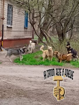 #��������. �. ��������, ����� �������������, ���������